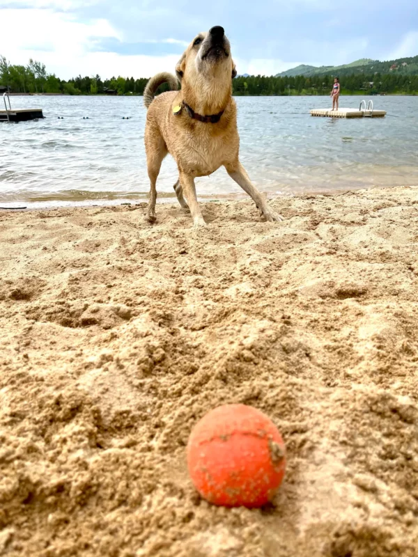 Smile Ball Durable Synthetic Rubber Chew and Retrieving Ball - Image 2