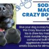 Magnum Crazy Bounce – Retrieving and Chew Toy - Image 7