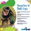 Magnum Crazy Bounce – Retrieving and Chew Toy - Image 3
