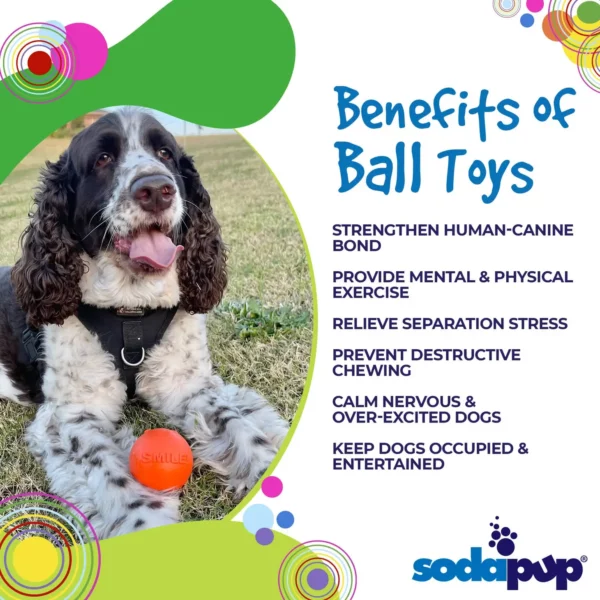 Smile Ball Durable Synthetic Rubber Chew and Retrieving Ball - Image 5