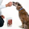 Wild Boar Jerky Treats for Dogs